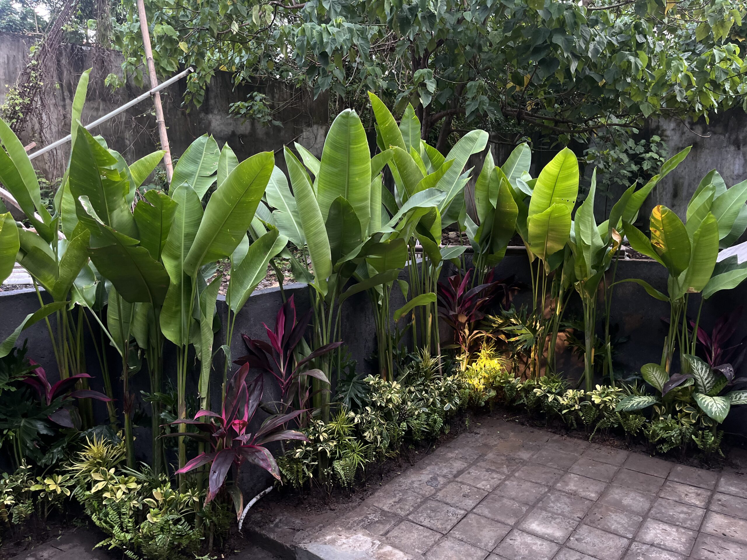 Garden Design